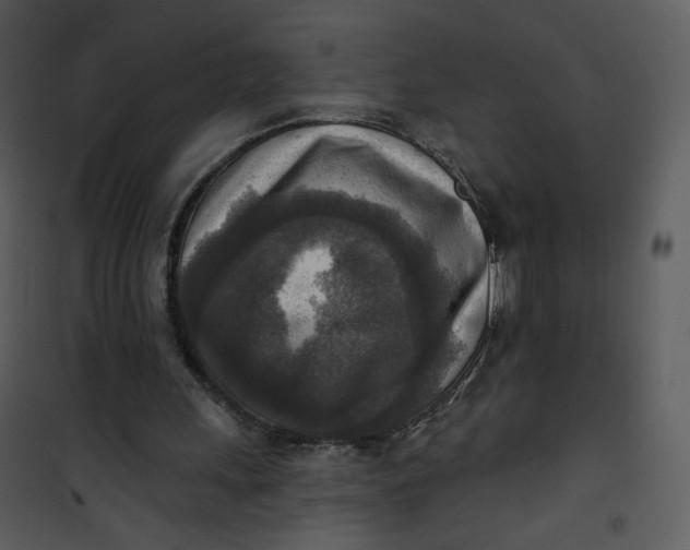 X0000101150243200807181341