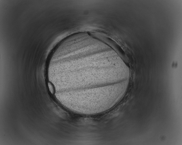 X0000101150244200807181341