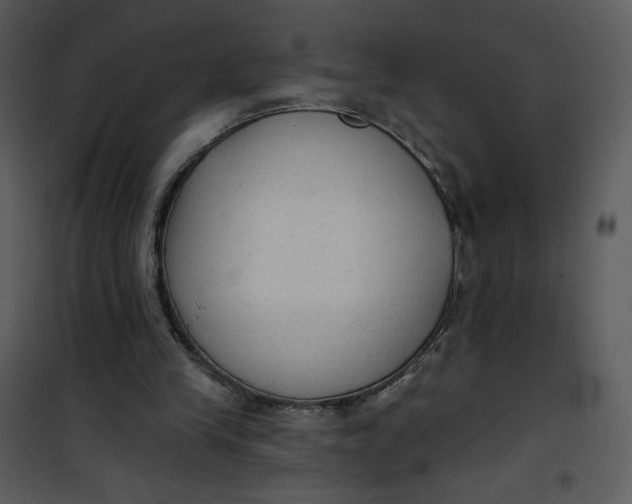 X0000101150245200807181341