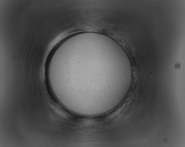 X0000101150246200807181341