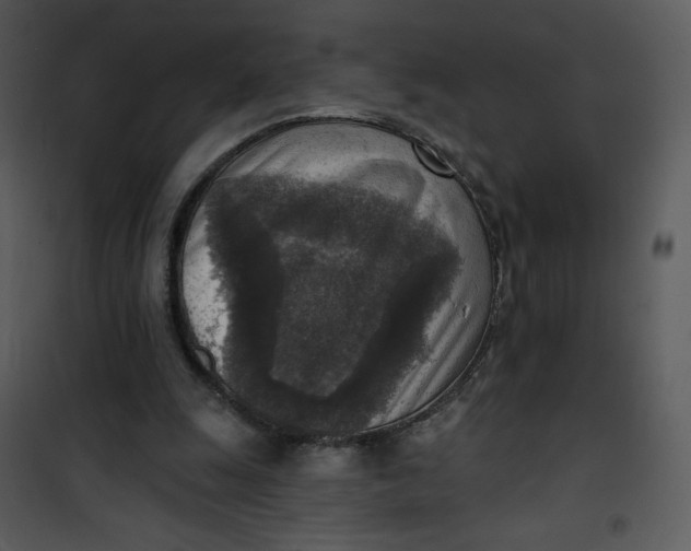 X0000101150247200807181341