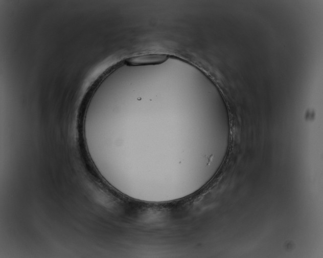 X0000101150248200807181341