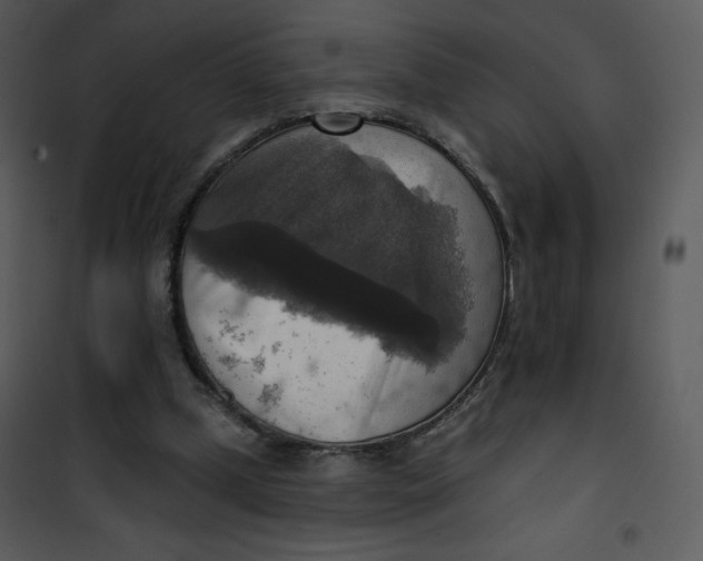 X0000101150249200807181341