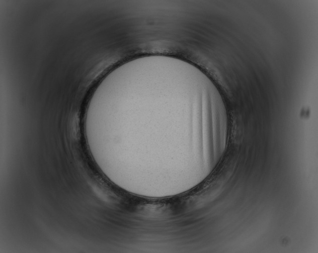 X0000101150251200807181341