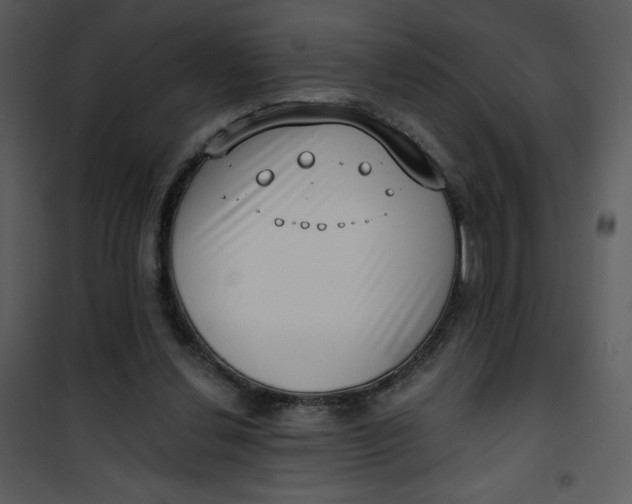 X0000101150252200807181341