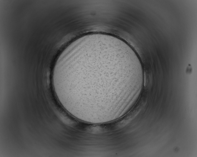 X0000101150253200807181341