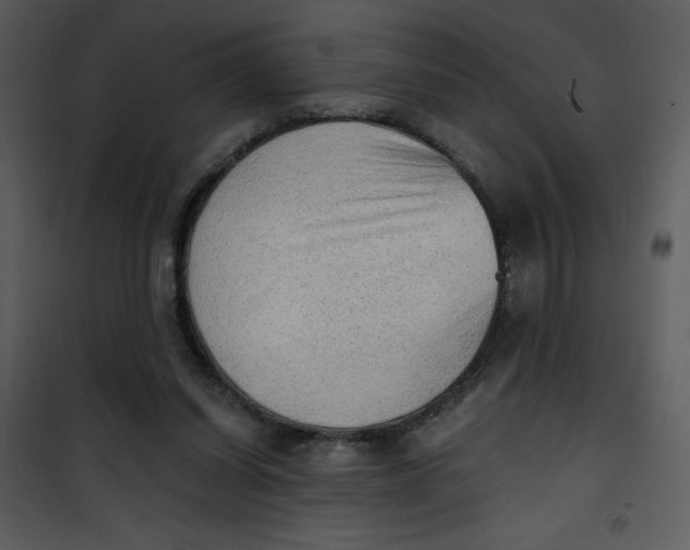 X0000101150254200807181341