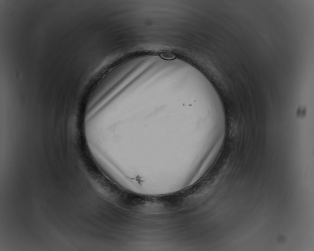 X0000101150256200807181341