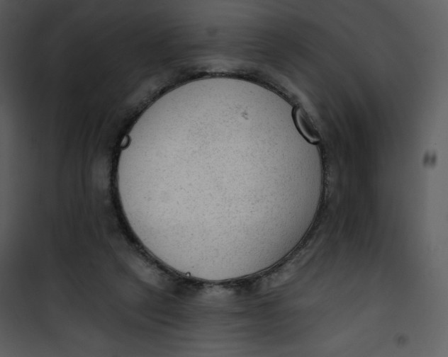 X0000101150257200807181341