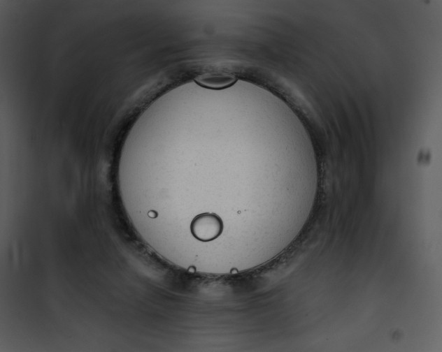 X0000101150258200807181341