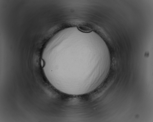 X0000101150259200807181341