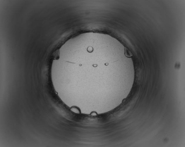 X0000101150260200807181341