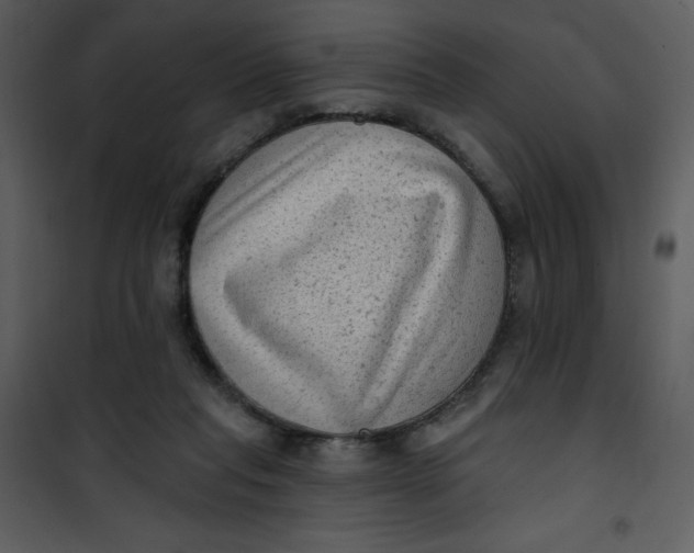 X0000101150261200807181341