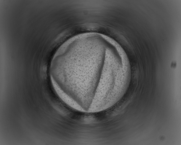 X0000101150262200807181341