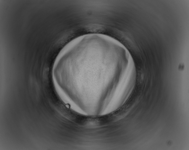 X0000101150263200807181342