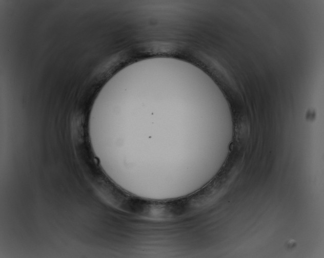 X0000101150264200807181342