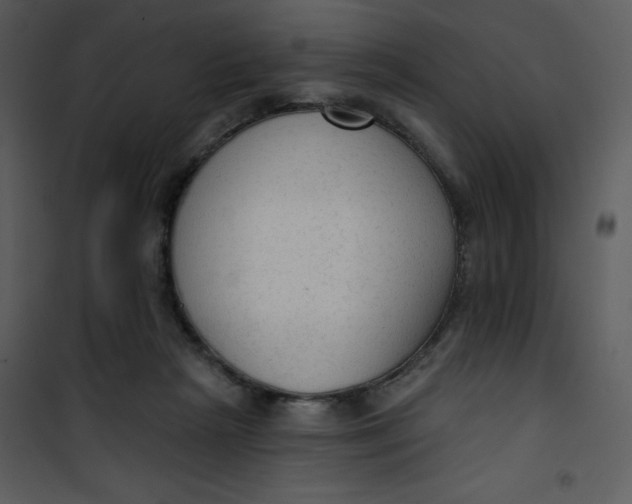 X0000101150265200807181342