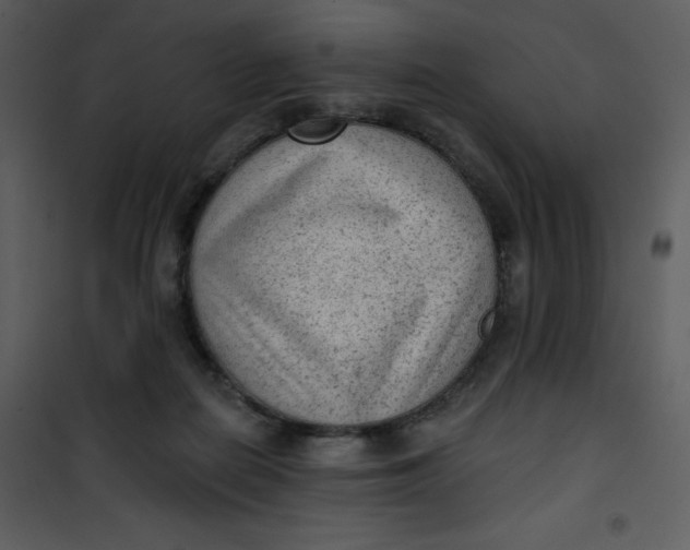 X0000101150266200807181342