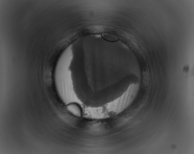 X0000101150267200807181342