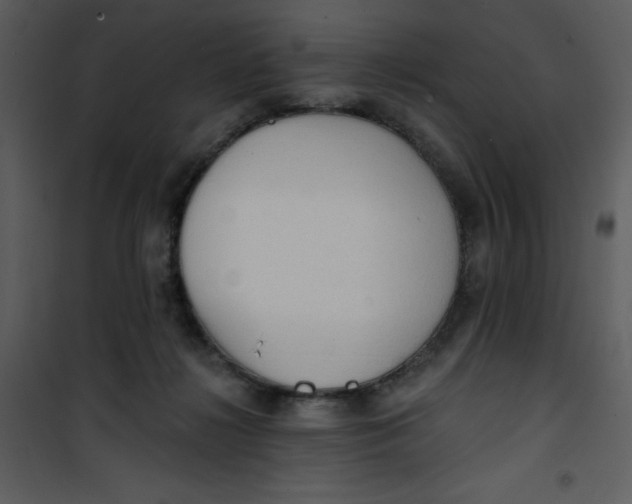 X0000101150268200807181342