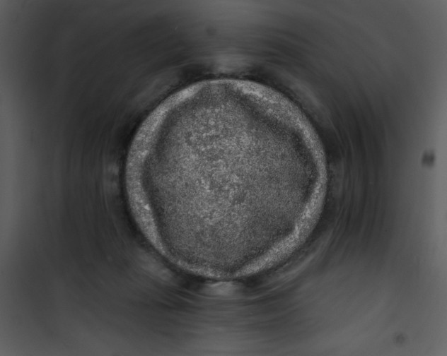 X0000101150269200807181342