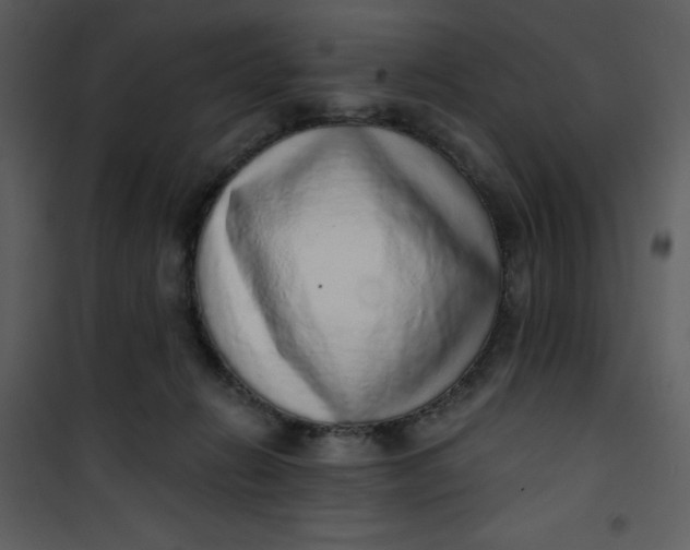 X0000101150270200807181342