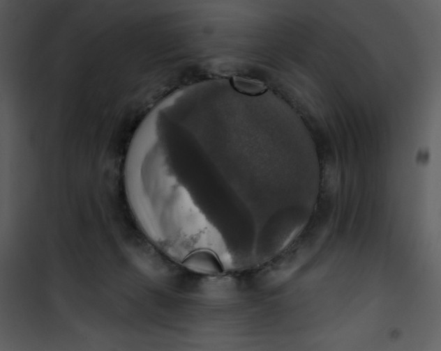 X0000101150271200807181342