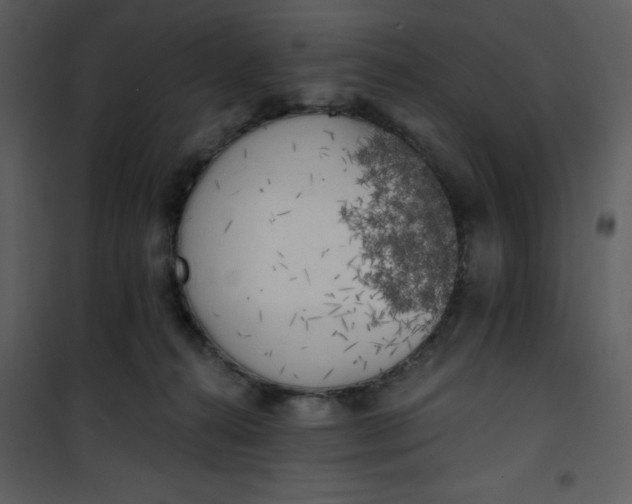 X0000101150272200807181342