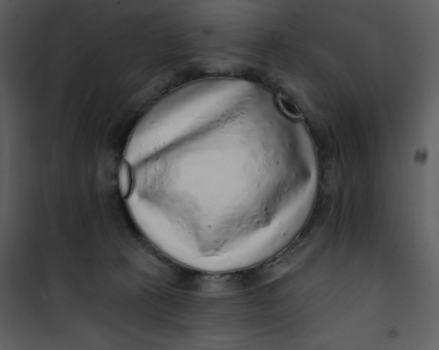 X0000101150273200807181342