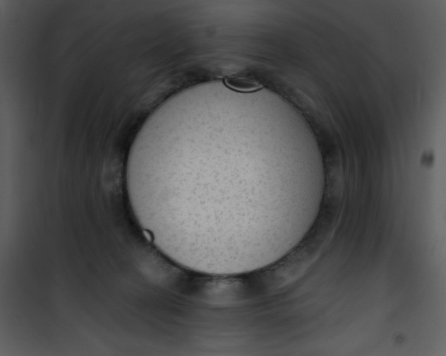 X0000101150274200807181342