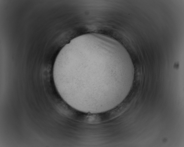 X0000101150275200807181342