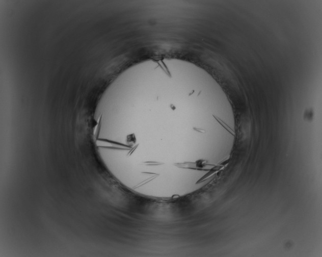 X0000101150276200807181342