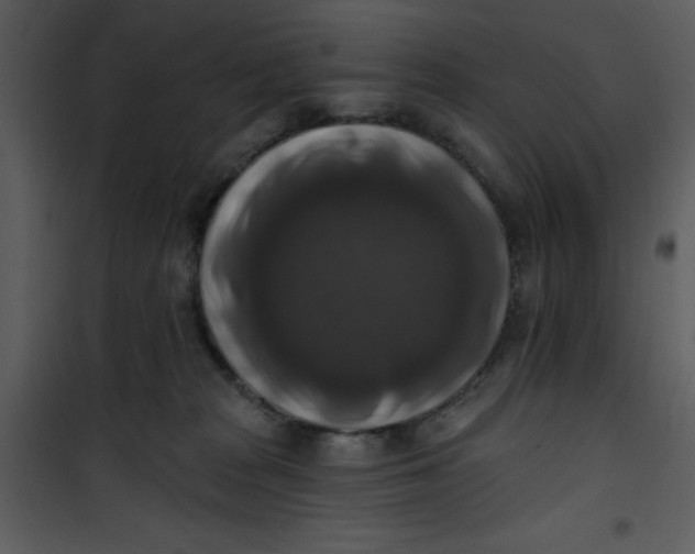 X0000101150277200807181342