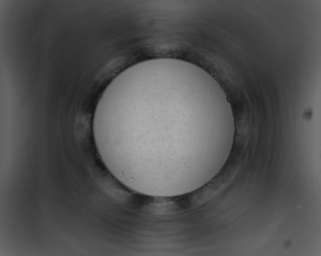 X0000101150278200807181342