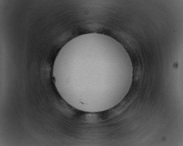 X0000101150279200807181342