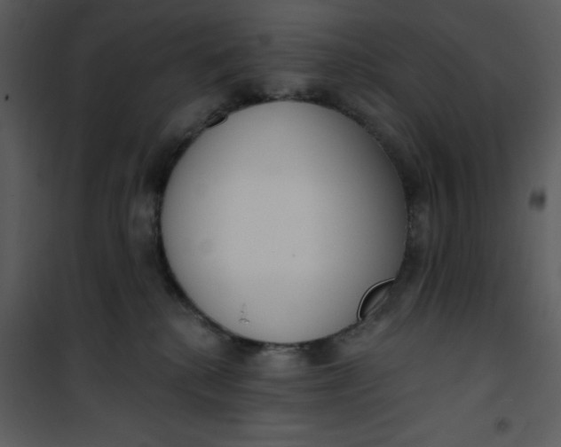 X0000101150280200807181342