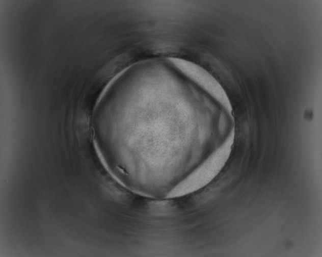 X0000101150281200807181342