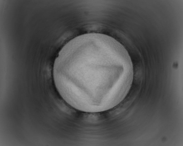 X0000101150282200807181342