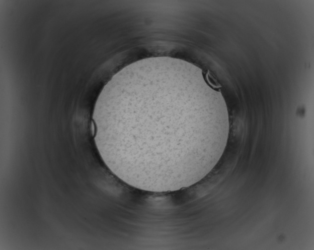 X0000101150283200807181342