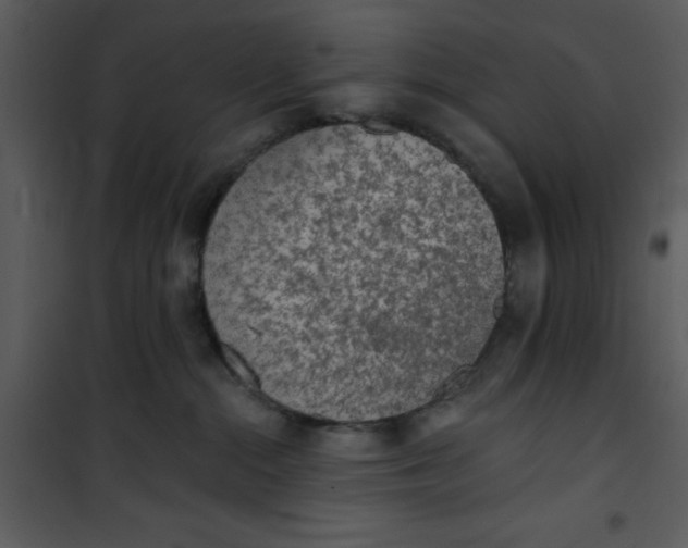 X0000101150284200807181342