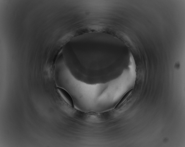 X0000101150285200807181342