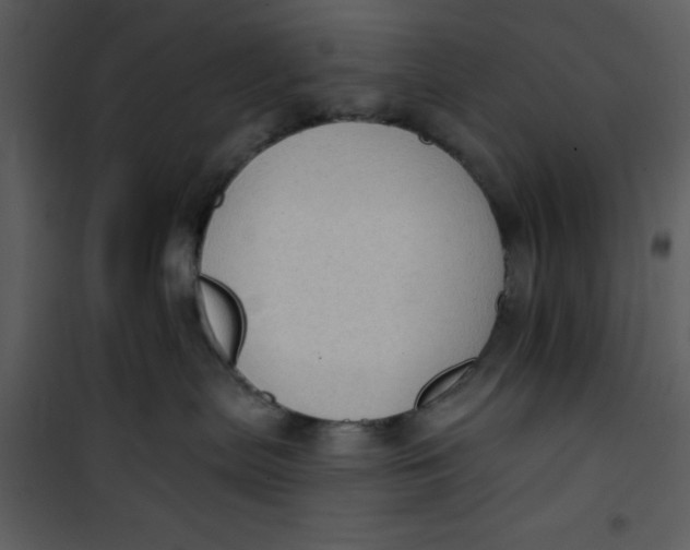 X0000101150287200807181342