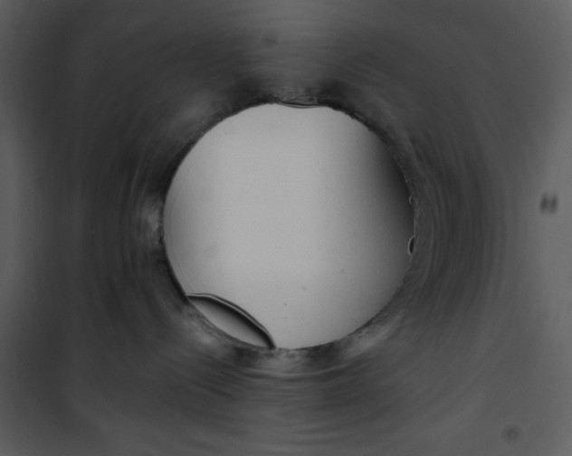 X0000101150288200807181342