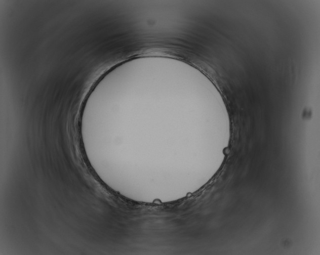 X0000101150289200807181341