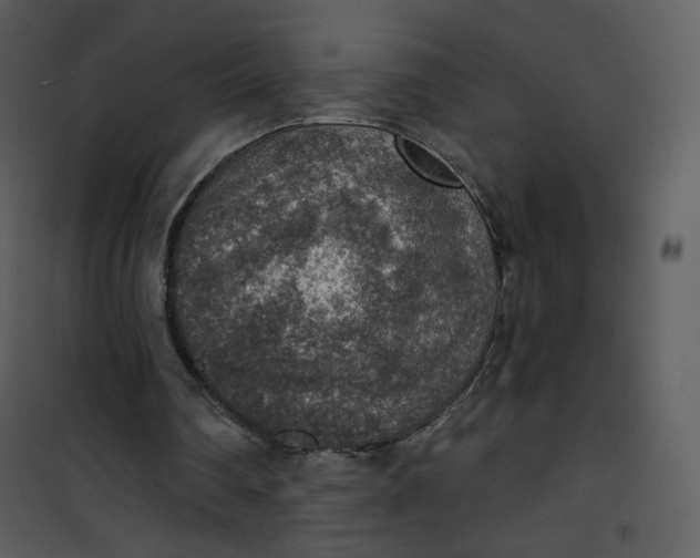 X0000101150290200807181341