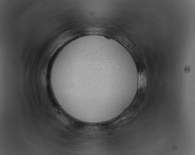 X0000101150291200807181341