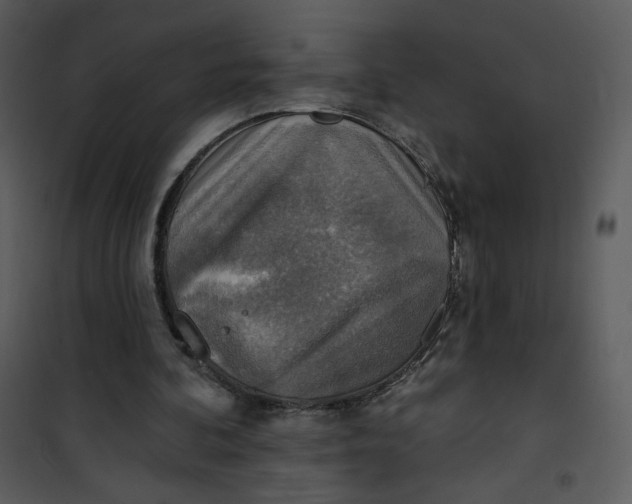 X0000101150292200807181341