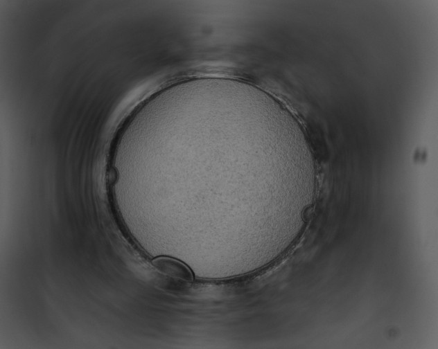 X0000101150293200807181341