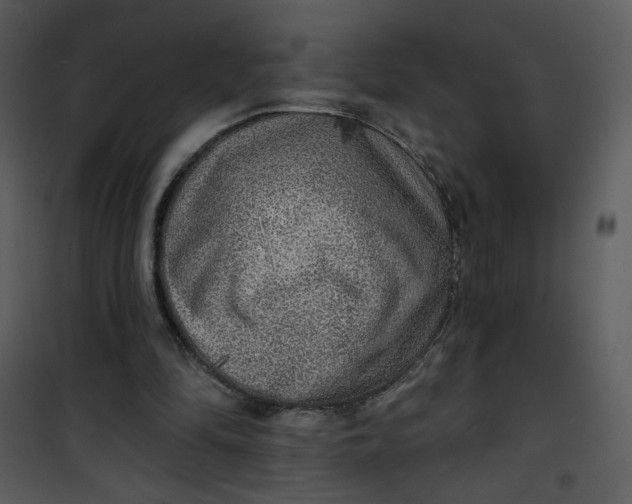 X0000101150294200807181341