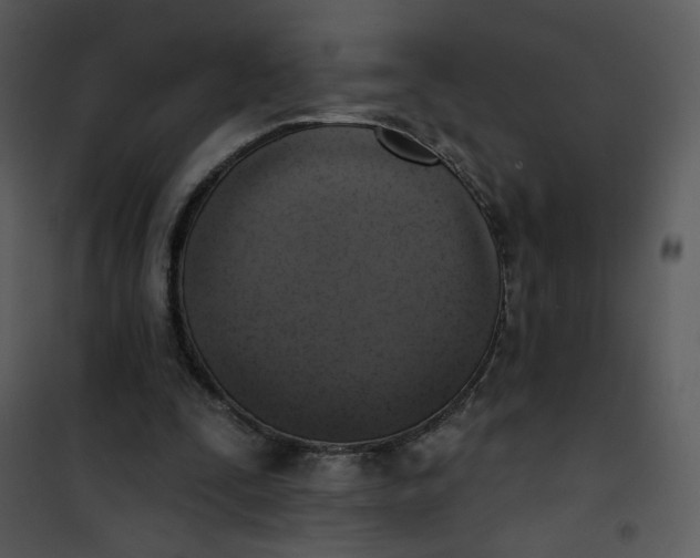 X0000101150295200807181341